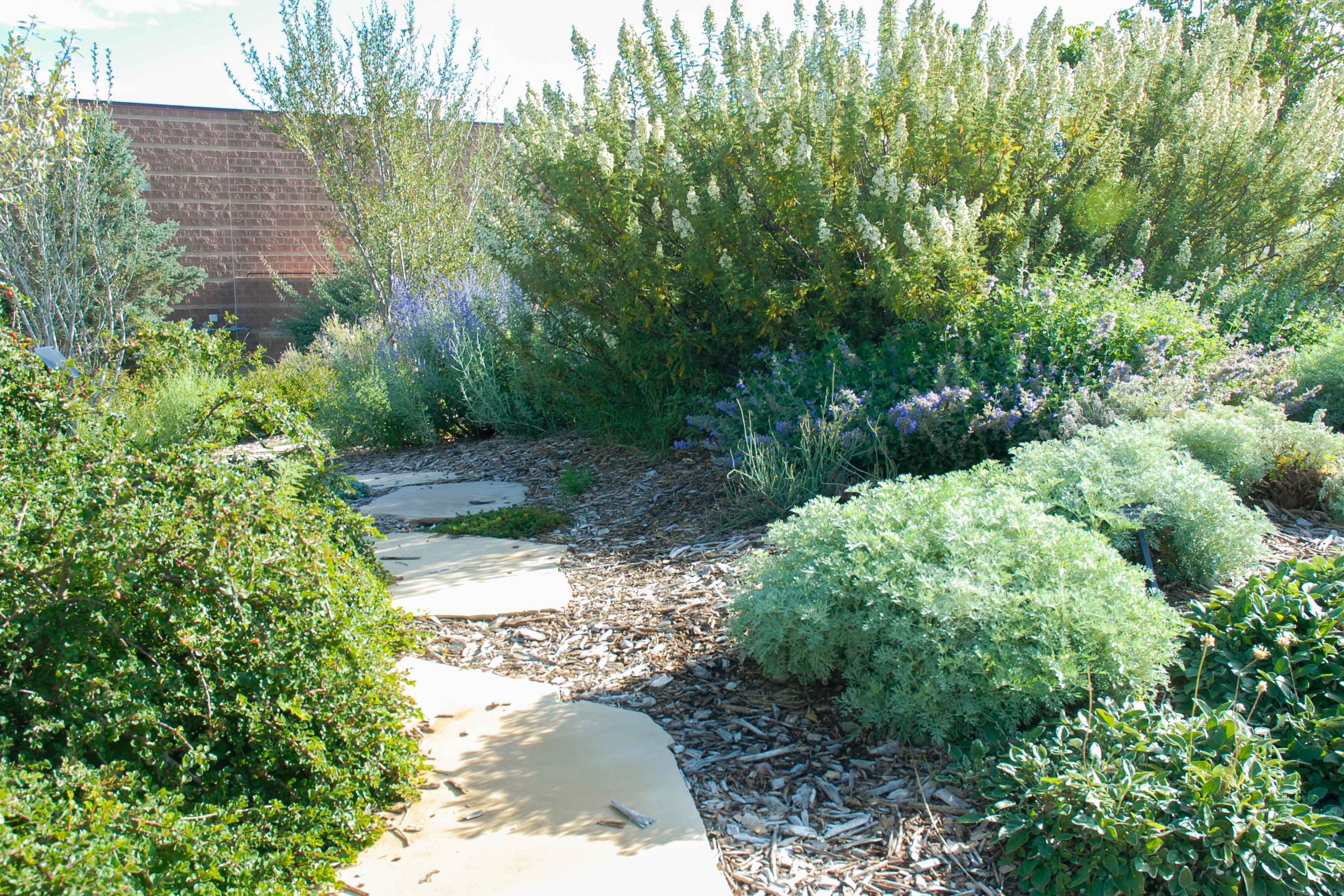 Cottonwood Creek Garden